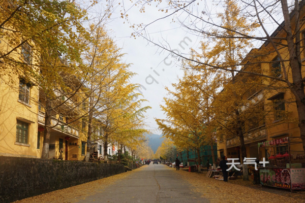 {娛樂城}(十一去哪旅游人少)